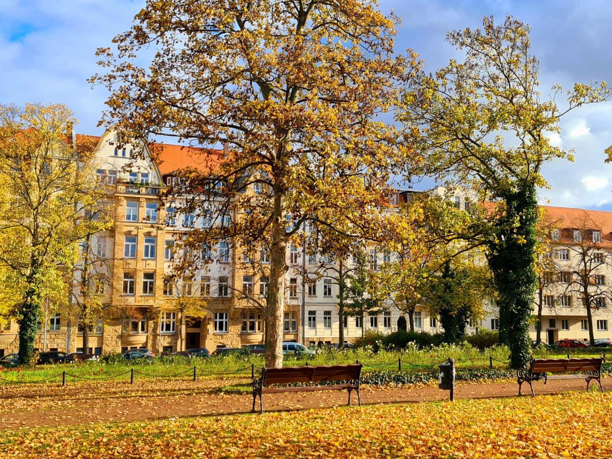 Apartamento Kleinod am Park - Zentrum-Südost Leipzig Exterior foto